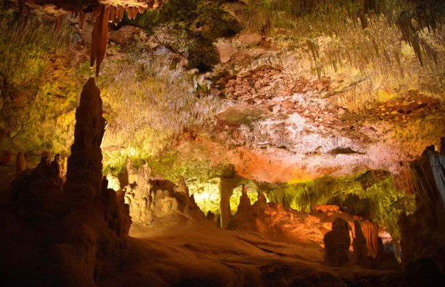 Excursión a las cuevas del Hams y Dinosaurland - Foto 2