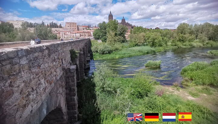 Vieuw a la ciudad de Salamanca con puente romano