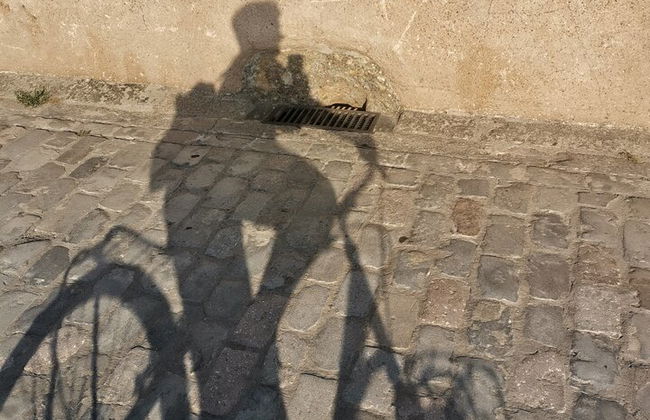 Tour in bicicletta di Salamanca in Inglese, Nederlands, Deutsch o Español - Foto 8