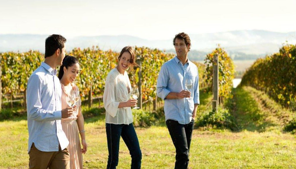 Dégustation de vins au cœur de la Yarra Valley - Excursion d'une journée en petit groupe - Photo 1