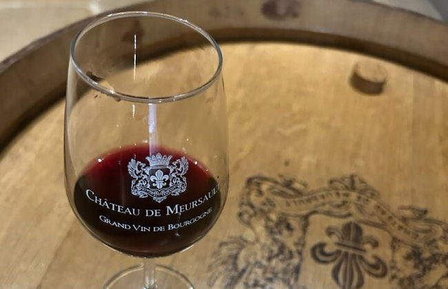 Privattransfer Von Lyon nach Beaune - Foto 7