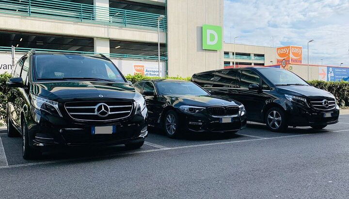 Trasferimento privato dal porto crocieristico di Amburgo agli hotel della città di Amburgo - Foto 1