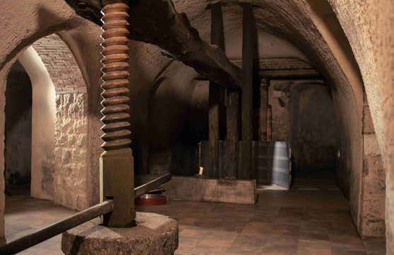 Visita a Eme Bodegas - Foto 10