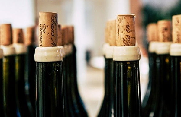 Visita a Eme Bodegas - Foto 2