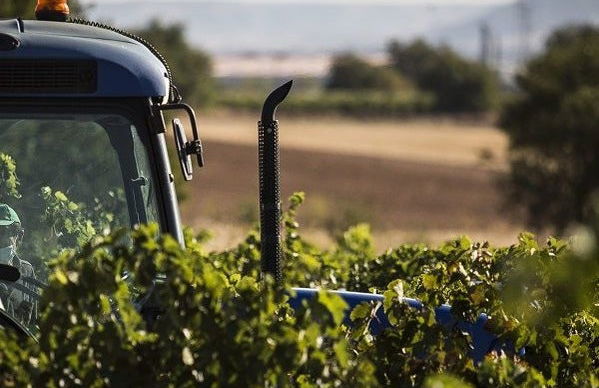Visita a Eme Bodegas - Foto 4
