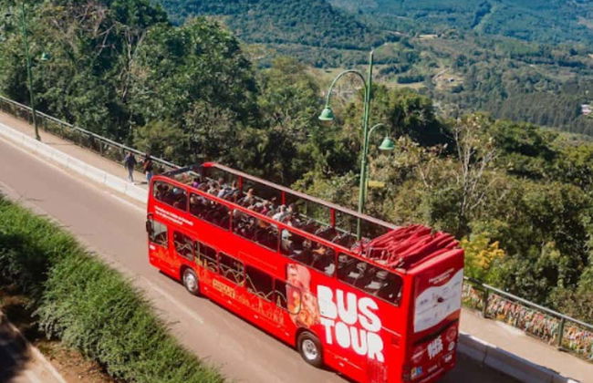 Autobús turístico de Gramado y Canela - Foto 8