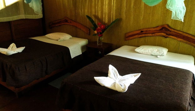 Loero Amazonian Community Multi-Day Visit - Foto 5