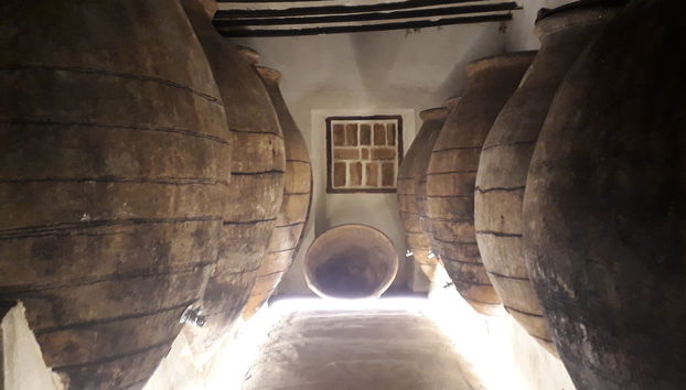 Visita a la Bodega del Nero - Foto 3