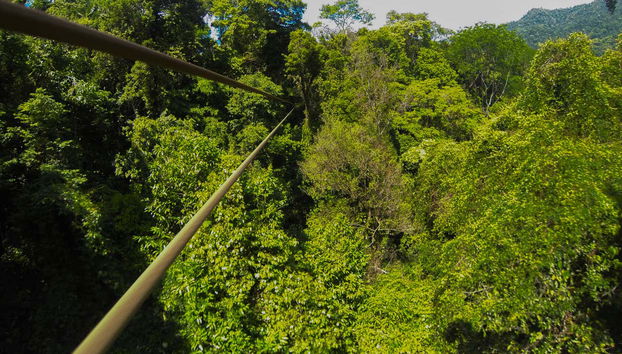 Limón Zip Line Tour - Foto 4