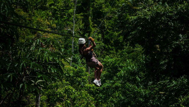 Limón Zip Line Tour - Foto 3