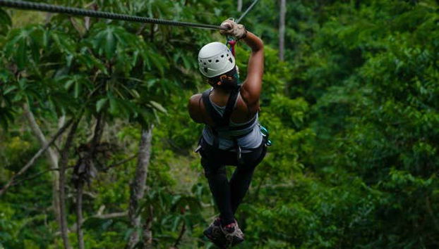 Limón Zip Line Tour - Foto 2