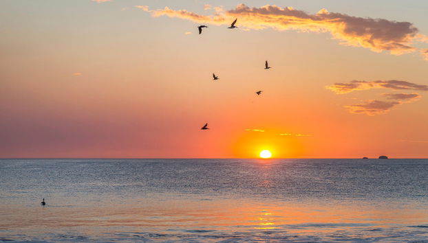 Passeio de barco ao entardecer pela costa de Guanacaste - Foto 4