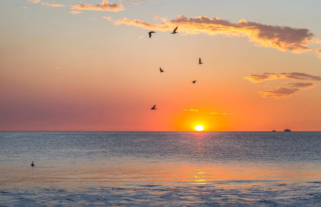 Passeio de barco ao entardecer pela costa de Guanacaste - Foto 4