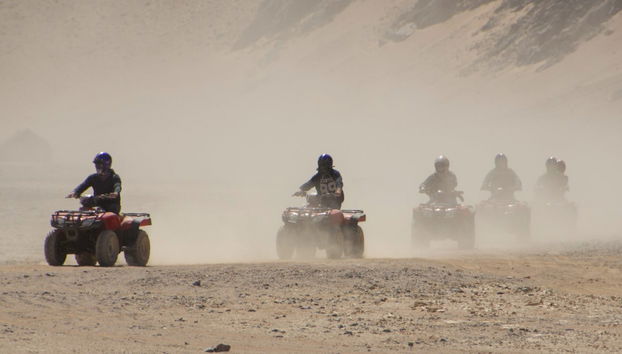 Quad Tour + Camel Ride + Snorkeling in the Red Sea - Photo 2