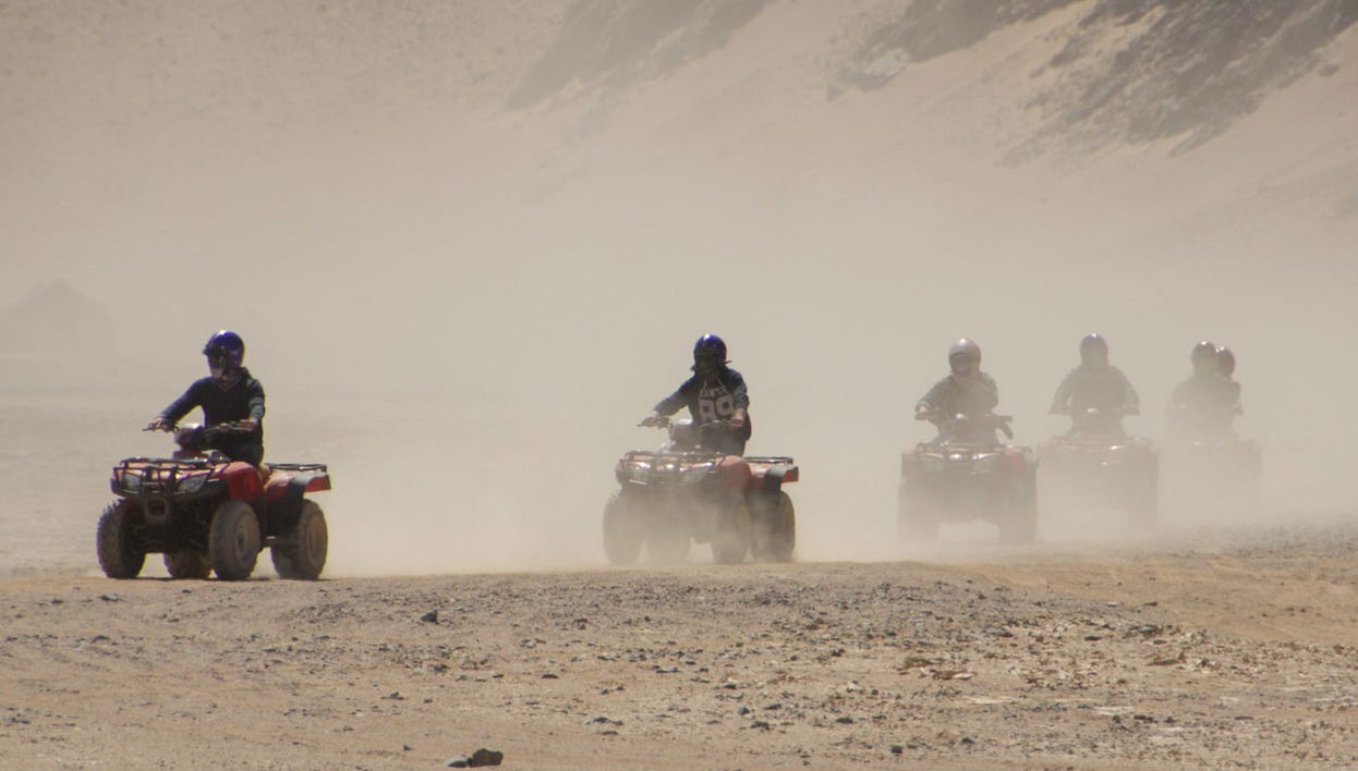 Desert Quad Tour + Camel Ride - Photo 1