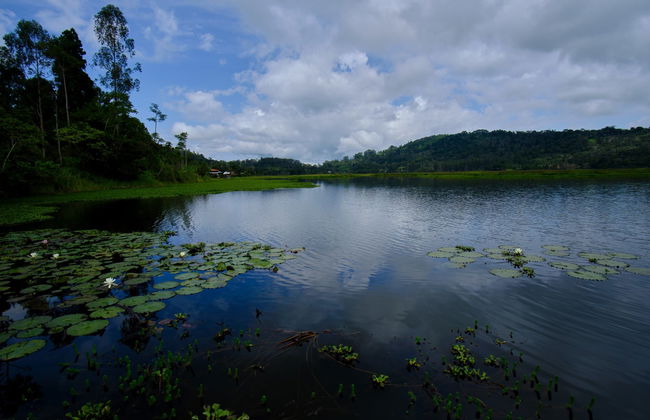 Excursión a Villa Rica y laguna El Oconal - Foto 4