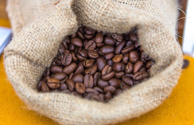 Excursión a Villa Rica y laguna El Oconal - Foto 6