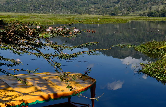 Excursión a Villa Rica y laguna El Oconal - Foto 2