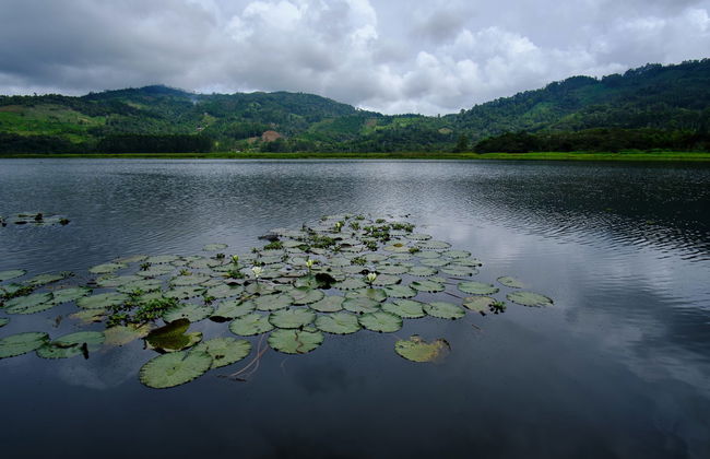 Excursión a Villa Rica y laguna El Oconal - Foto 1