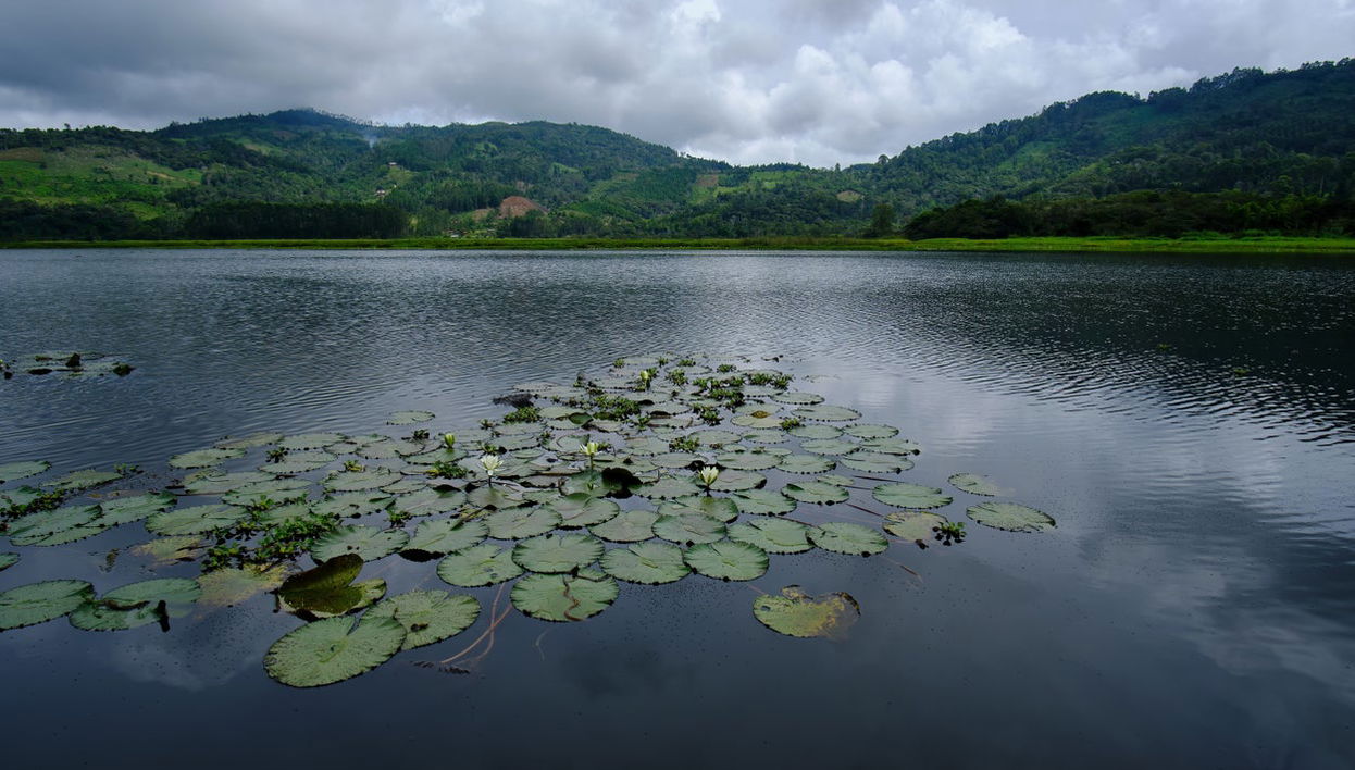 Day Trip to Villa Rica & the Oconal Lagoon - Foto 1