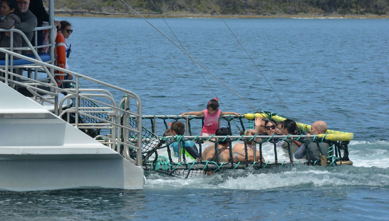 Jervis Bay Dolphin Watching Tour - Photo 1