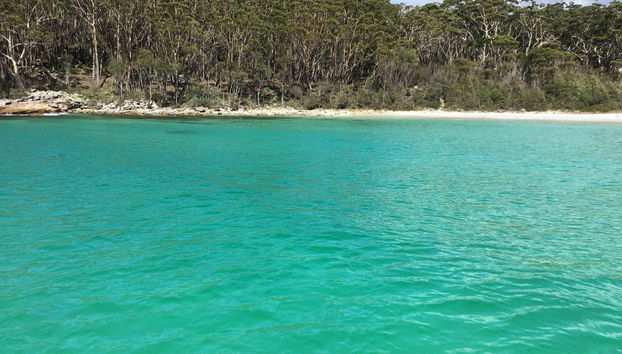 Jervis Bay Dolphin Watching Tour - Photo 2