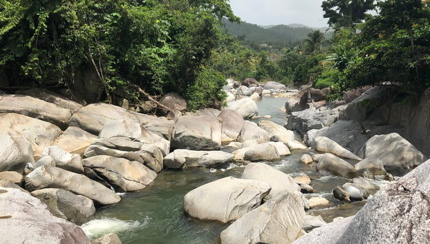 Escursione al Charco El Hippie - Foto 4
