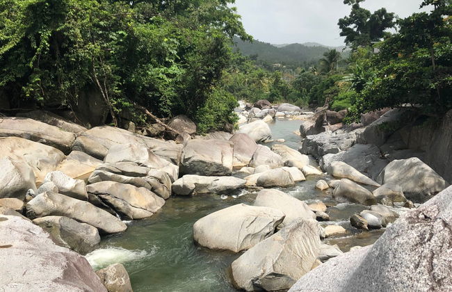 Excursión al Charco El Hippie - Foto 4