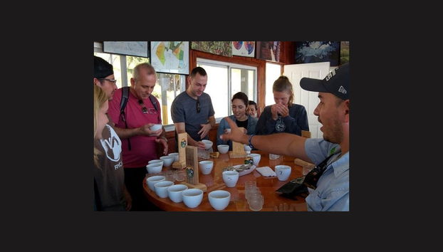 Boquete Coffee Tour - Foto 4