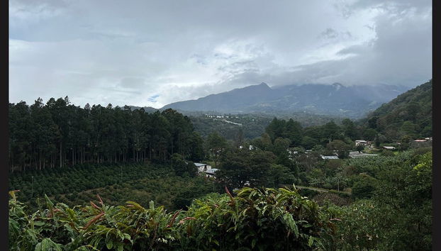 Boquete Coffee Tour - Foto 3