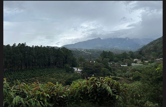 Boquete Coffee Tour - Foto 3