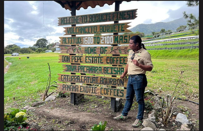 Boquete Coffee Tour - Foto 2