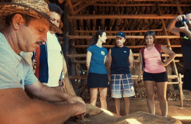 Viñales Tobacco Tour - Photo 4