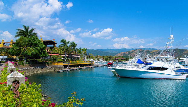 Horseback Riding in the Jungle - Photo 3