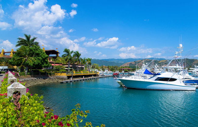 Horseback Riding in the Jungle - Photo 3
