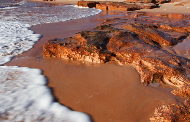 Visite de la péninsule de Dampier - Photo 6