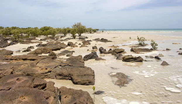 Dampier Peninsula Tour - Foto 5