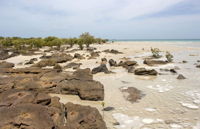 Dampier Peninsula Tour - Foto 5