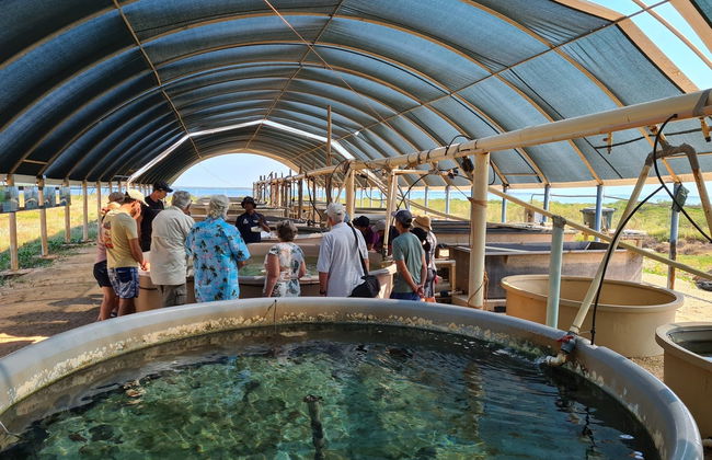 Visite de la péninsule de Dampier - Photo 3