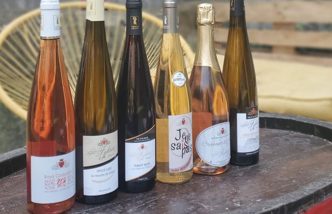 Visita a las bodegas Sylvie Fahrer et Fils - Foto 11