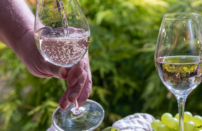 Visita a las bodegas Sylvie Fahrer et Fils - Foto 13