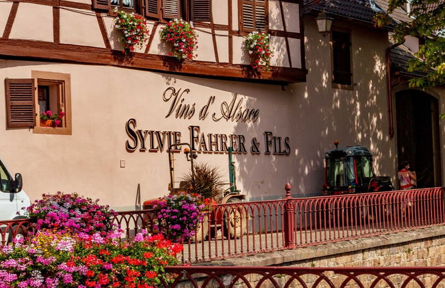 Visita a las bodegas Sylvie Fahrer et Fils - Foto 6