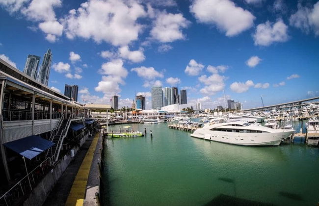 Visite guidée dans Little Havana, Brickell et Downtown Miami - Foto 1