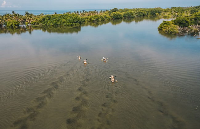 Tour en kayak por la laguna de Manialtepec - Foto 7