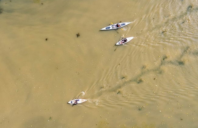 Tour en kayak por la laguna de Manialtepec - Foto 8
