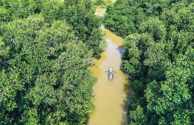 Tour en kayak por la laguna de Manialtepec - Foto 2