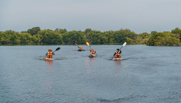 Enjoying the kayak tour