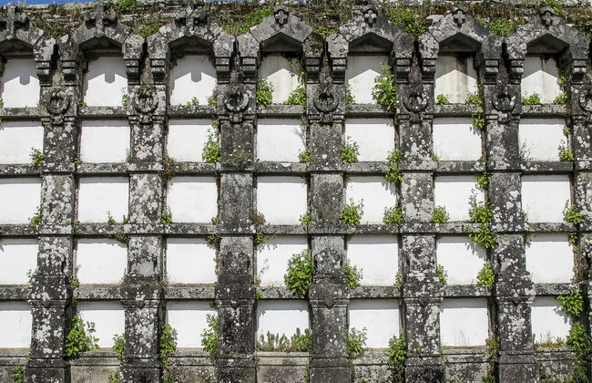 Free tour pela Santiago contemporânea - Foto 6