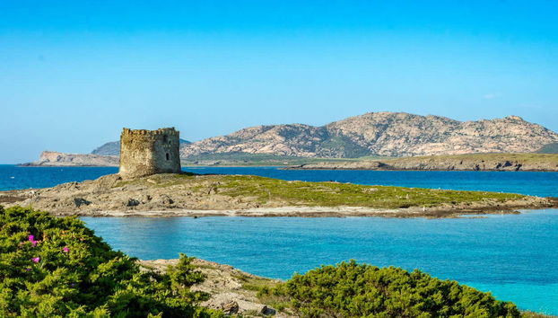 Asinara Catamaran Tour - Photo 2