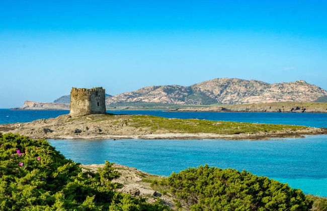 Escursione del Parco Nazionale dell'Asinara in catamarano - Foto 2